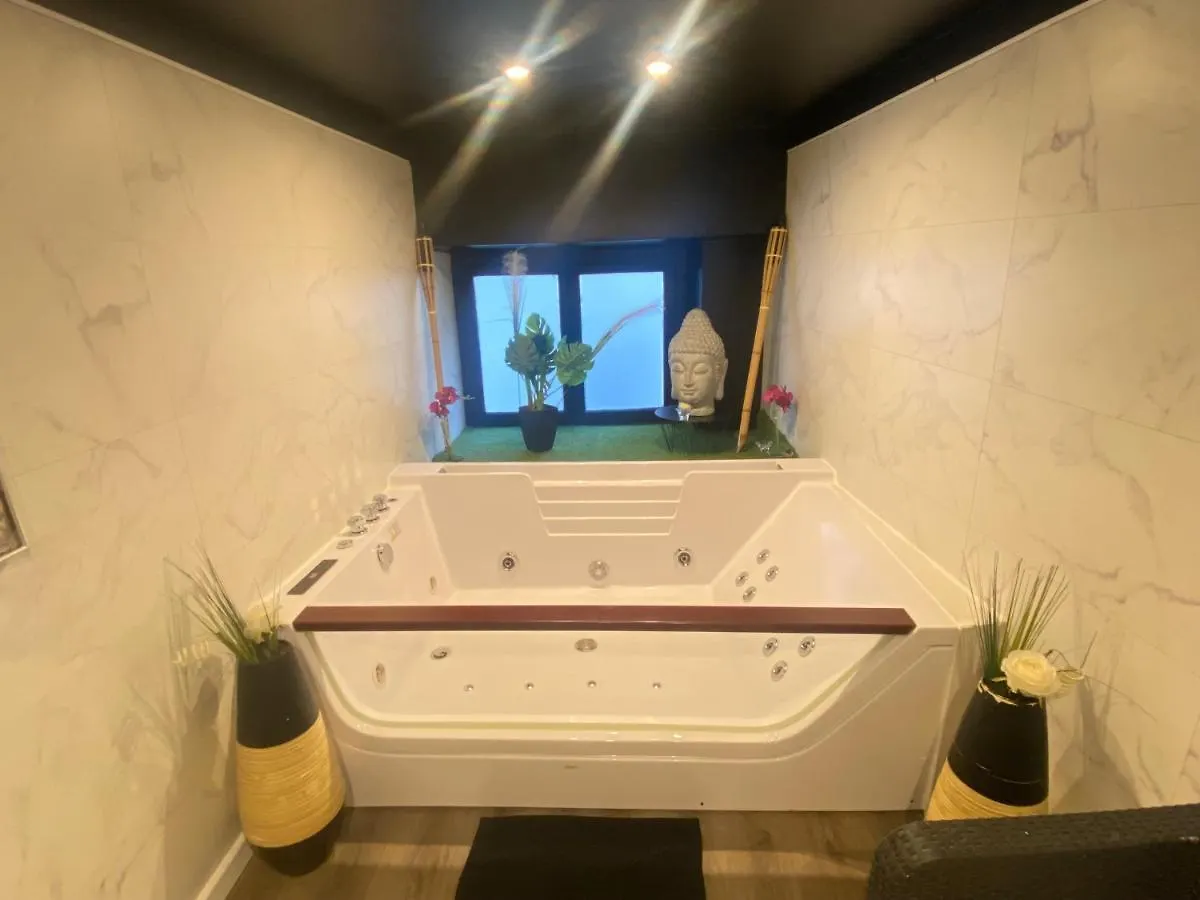 Appartement Jacuzzi en duplex à 5 minutes du centre ville à pied à Lyon France