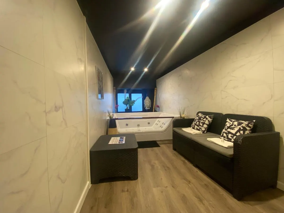 Appartement Jacuzzi en duplex à 5 minutes du centre ville à pied à Lyon