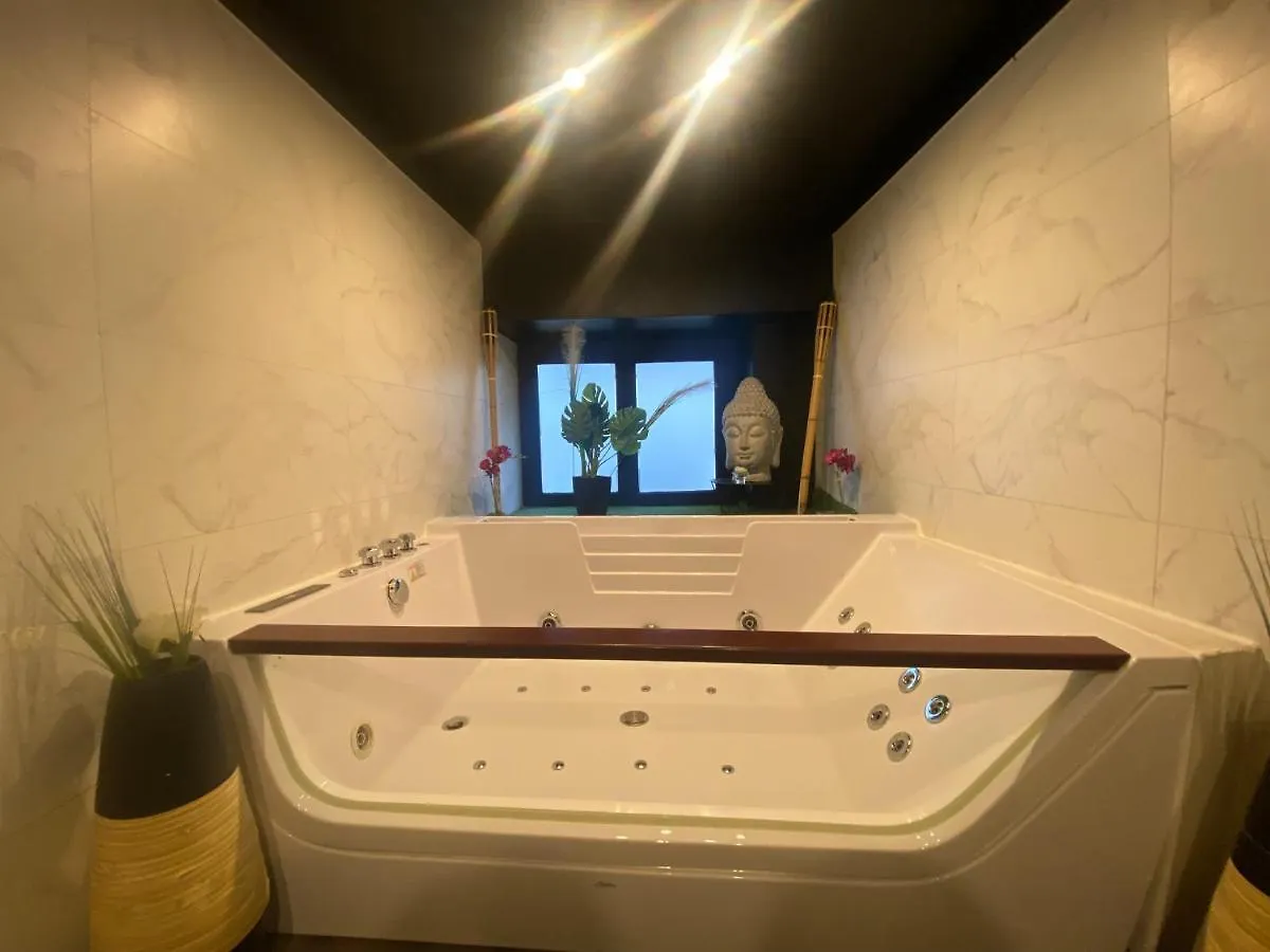 Appartement Jacuzzi en duplex à 5 minutes du centre ville à pied à Lyon