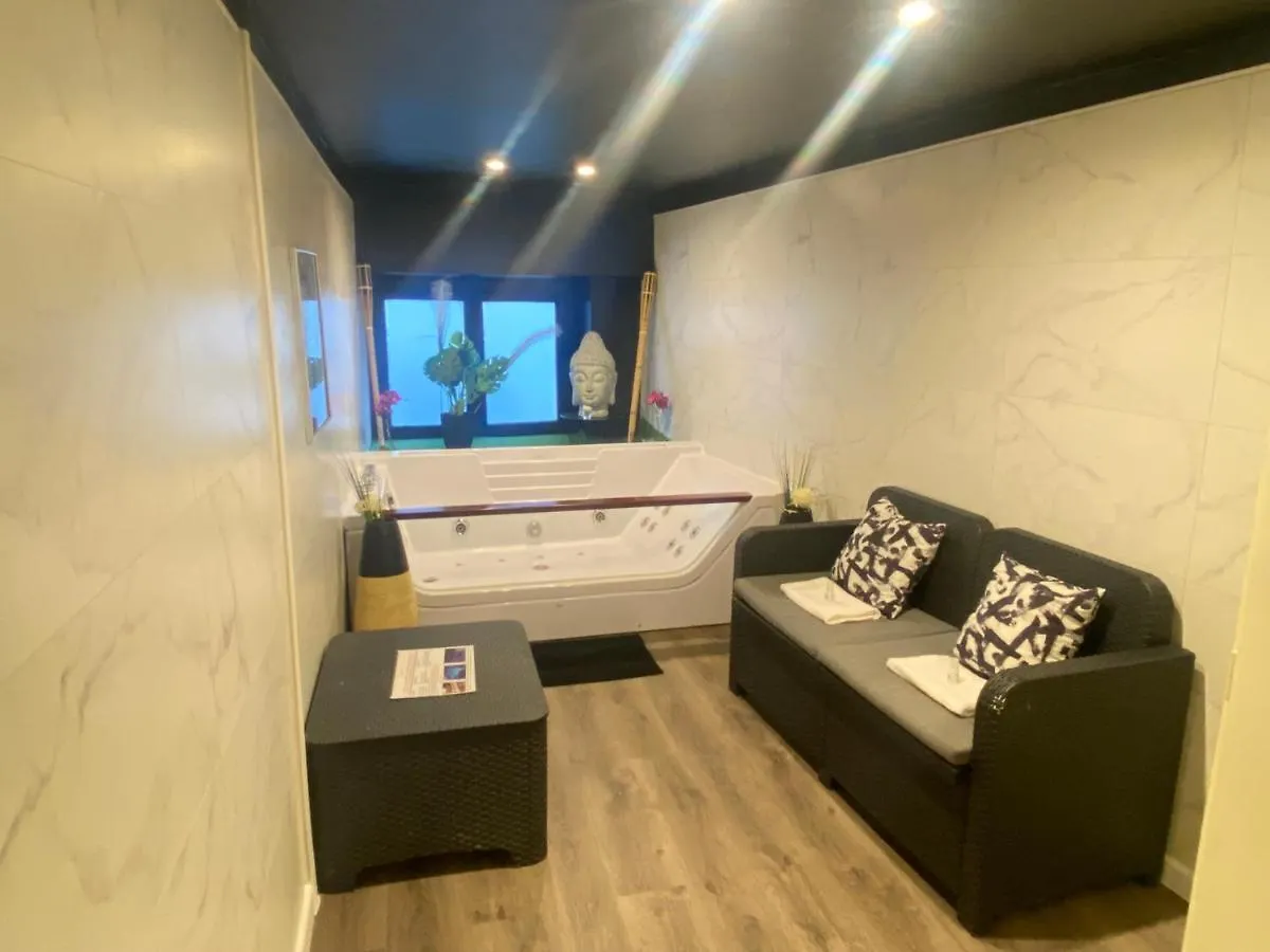 Appartement Jacuzzi en duplex à 5 minutes du centre ville à pied à Lyon